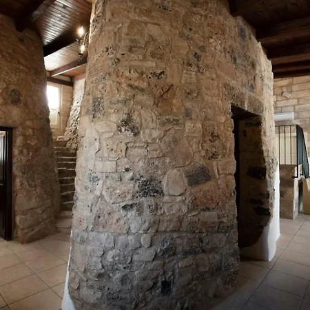 Emilia * 托雷苏达